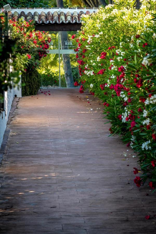 Marbella Banus Suites - Bird Of Paradise Playas Del Duque Banus Suite Apartment Εξωτερικό φωτογραφία